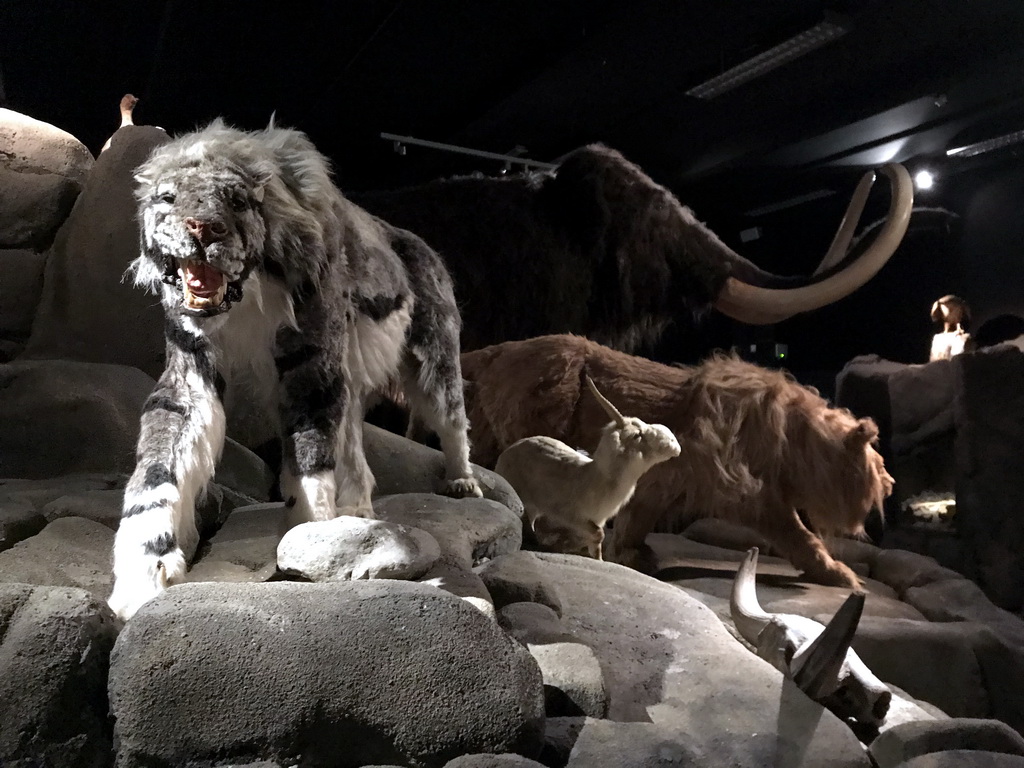 Wax statues of several animals at the `IJstijd!` exhibition at the ground floor of the Natuurmuseum Brabant