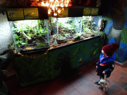 Max with small frogs at the Ground Floor of the main building of the Dierenpark De Oliemeulen zoo