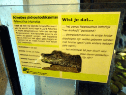 Explanation on the Smooth-fronted Caiman at the Ground Floor of the main building of the Dierenpark De Oliemeulen zoo