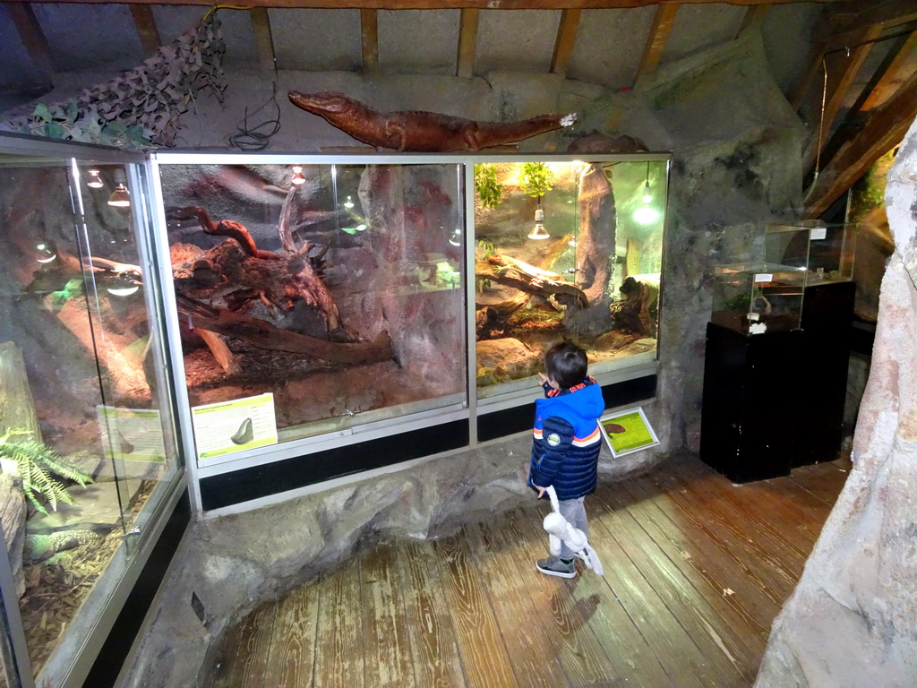 Max at the Upper Floor of the main building of the Dierenpark De Oliemeulen zoo