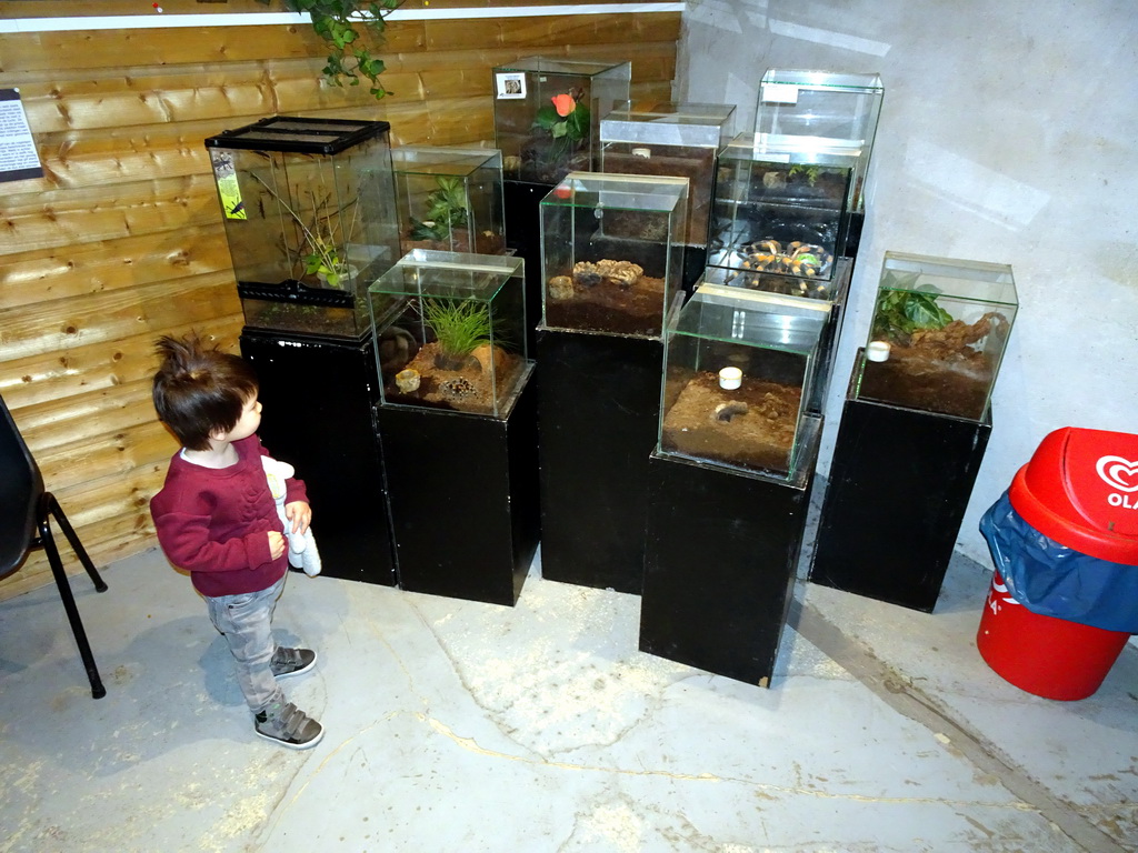 Max with insects and spiders at the Upper Floor of the main building of the Dierenpark De Oliemeulen zoo