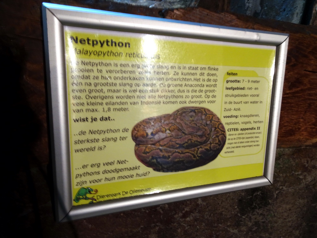 Explanation on the Reticulated Python at the Upper Floor of the main building of the Dierenpark De Oliemeulen zoo