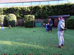 Zookeepers, spectators and a Northern White-faced Owl during the Birds of Prey Show at the Dierenpark De Oliemeulen zoo