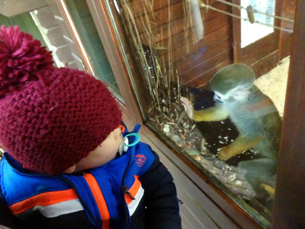 Max with a Squirrel Monkey at the Dierenpark De Oliemeulen zoo
