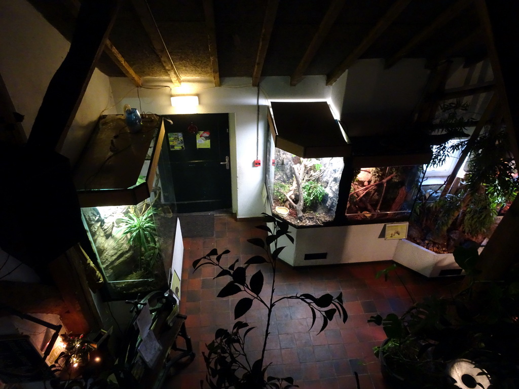 Ground Floor of the main building of the Dierenpark De Oliemeulen zoo, viewed from the Upper Floor