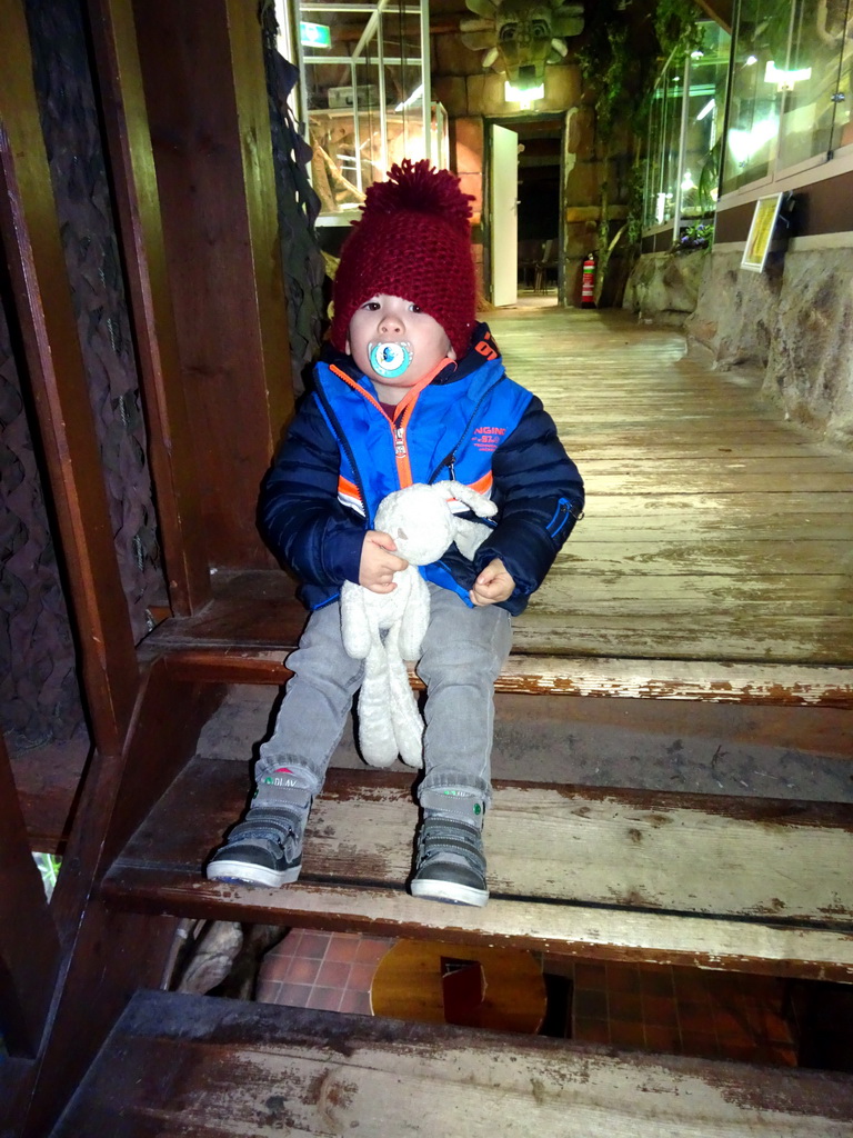 Max at the Upper Floor of the main building of the Dierenpark De Oliemeulen zoo