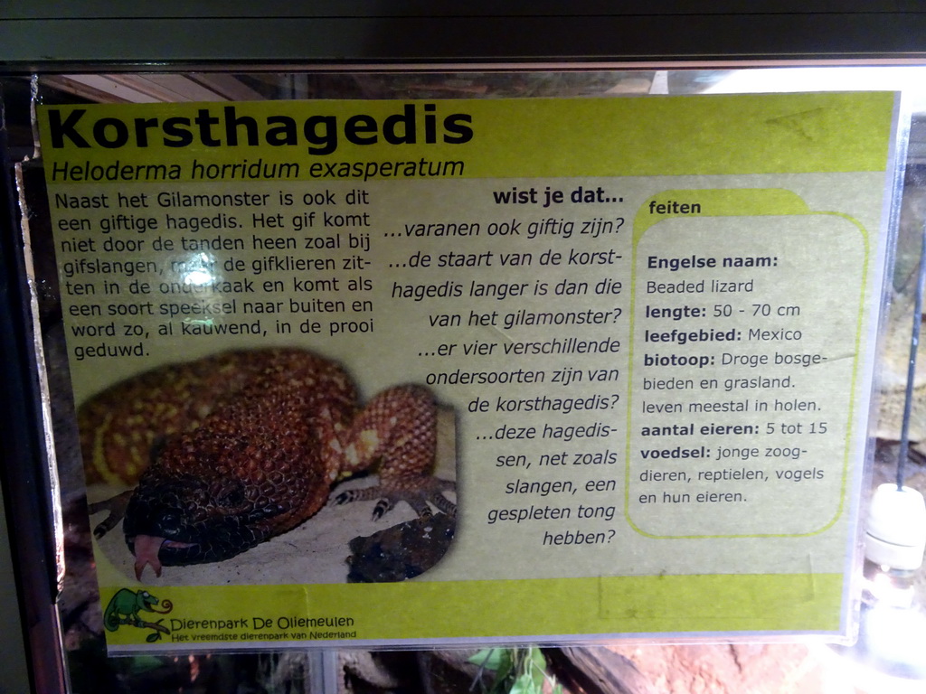 Explanation on the Mexican Beaded Lizard at the Upper Floor of the main building of the Dierenpark De Oliemeulen zoo