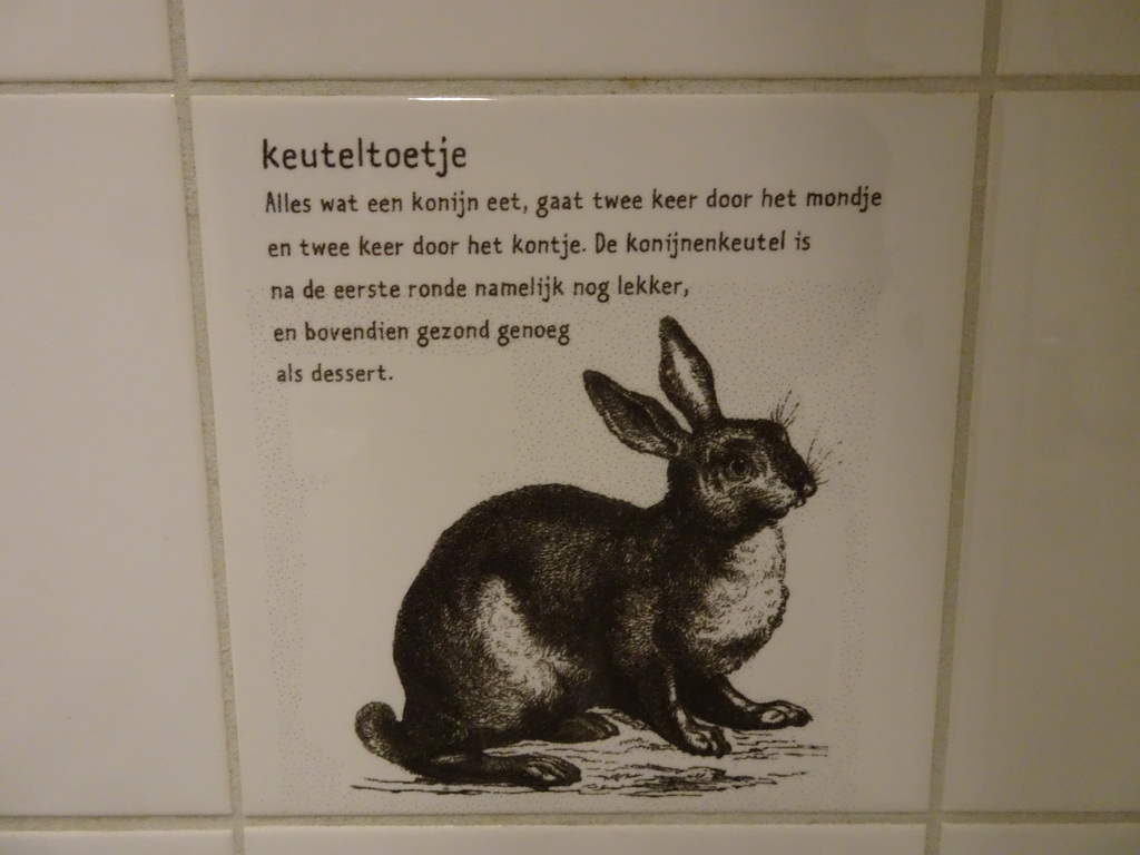 Information on rabbit poop at the toilet at the second floor of the Natuurmuseum Brabant