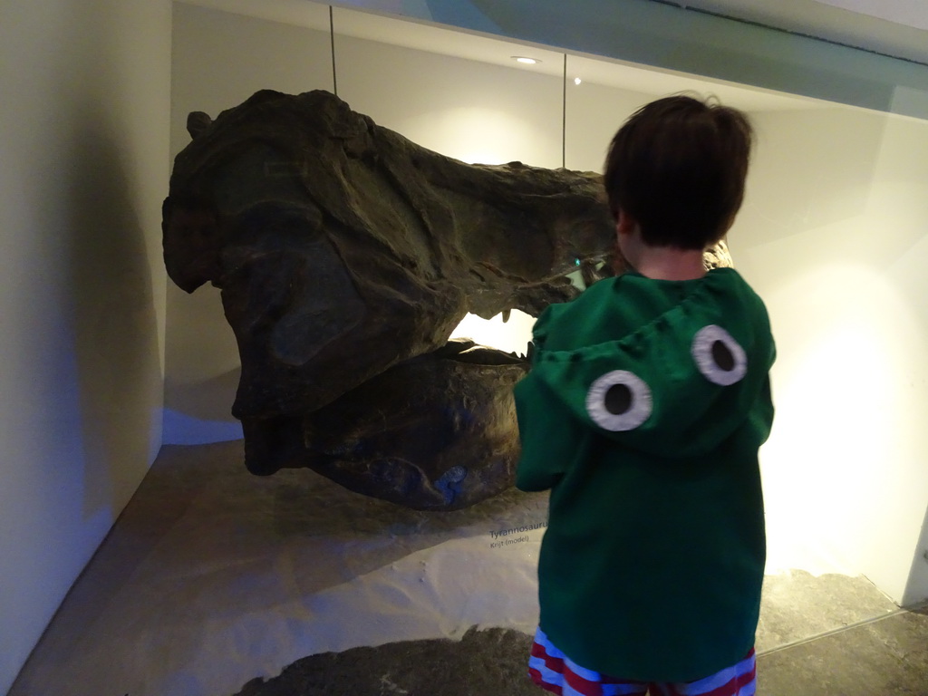 Max with a skull of a Tyrannosaurus Rex at the `Uitsterven` exhibition at the second floor of the Natuurmuseum Brabant