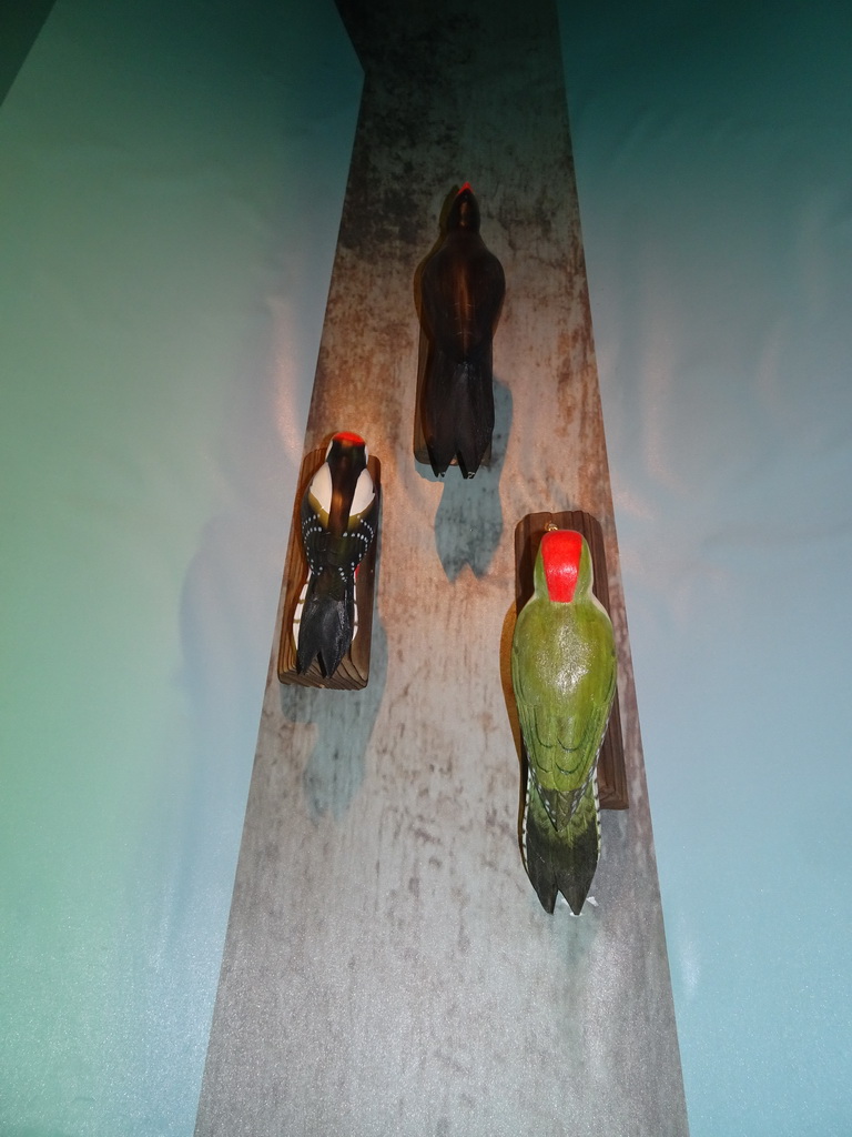 Statues of Woodpeckers at the `Beleef Ontdek Samen: BOS` exhibition at the second floor of the Natuurmuseum Brabant