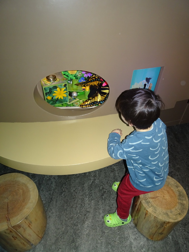 Max at the `Beleef Ontdek Samen: BOS` exhibition at the second floor of the Natuurmuseum Brabant