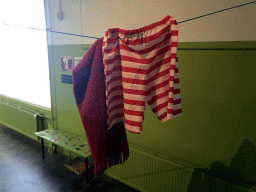 Kikker`s clothes on a washing line at the `Kikker is hier!` exhibition at the second floor of the Natuurmuseum Brabant