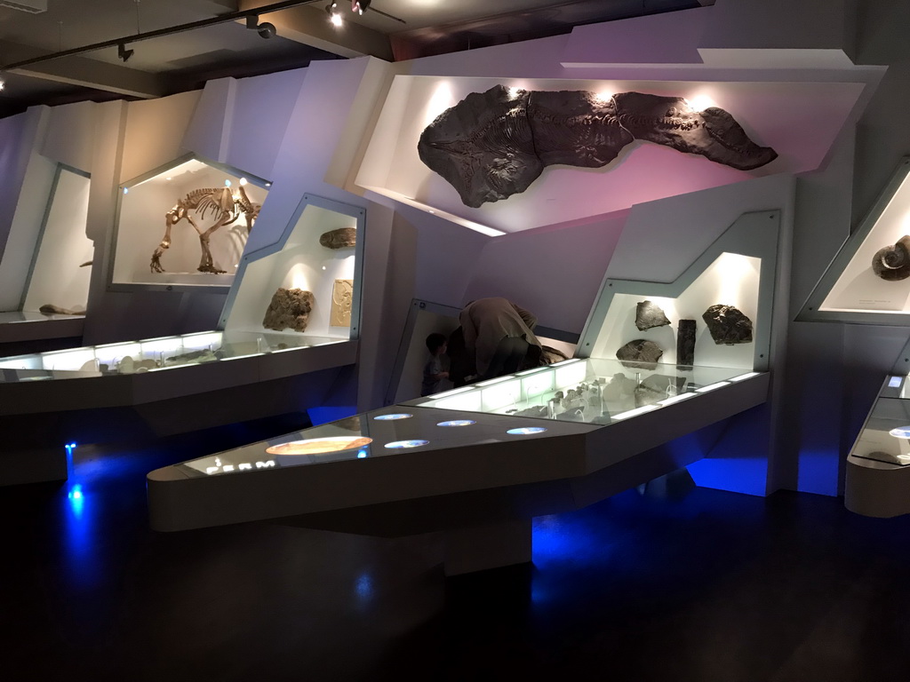 Max at the `Uitsterven` exhibition at the second floor of the Natuurmuseum Brabant