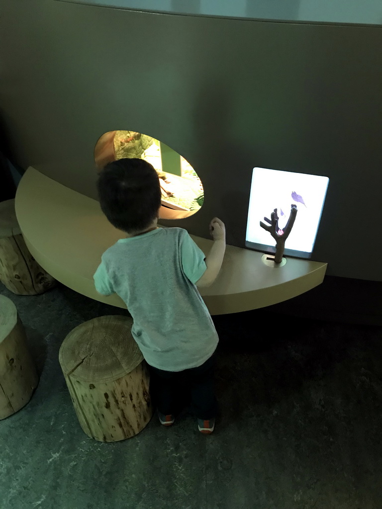 Max at the `Beleef Ontdek Samen: BOS` exhibition at the second floor of the Natuurmuseum Brabant