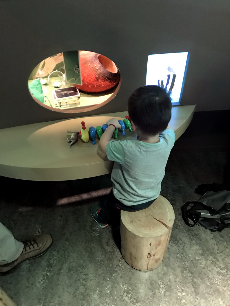 Max at the `Beleef Ontdek Samen: BOS` exhibition at the second floor of the Natuurmuseum Brabant