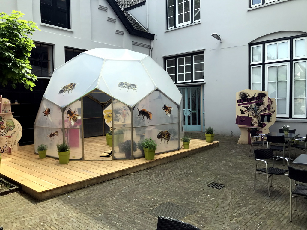 Exhibition on bees at the inner square of the Natuurmuseum Brabant
