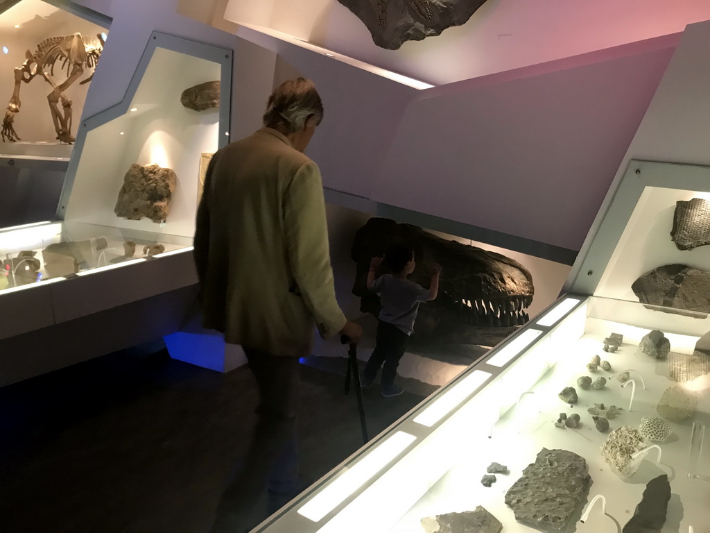 Max and his grandfather with a skull of a Tyrannosaurus Rex at the `Uitsterven` exhibition at the second floor of the Natuurmuseum Brabant