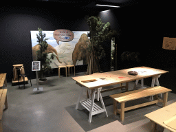 Interior of the workshop at the ground floor of the Natuurmuseum Brabant