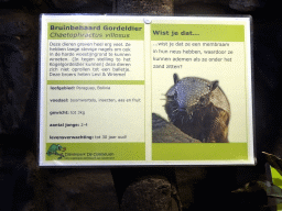 Explanation on the Big Hairy Armadillo at the Ground Floor of the main building of the Dierenpark De Oliemeulen zoo