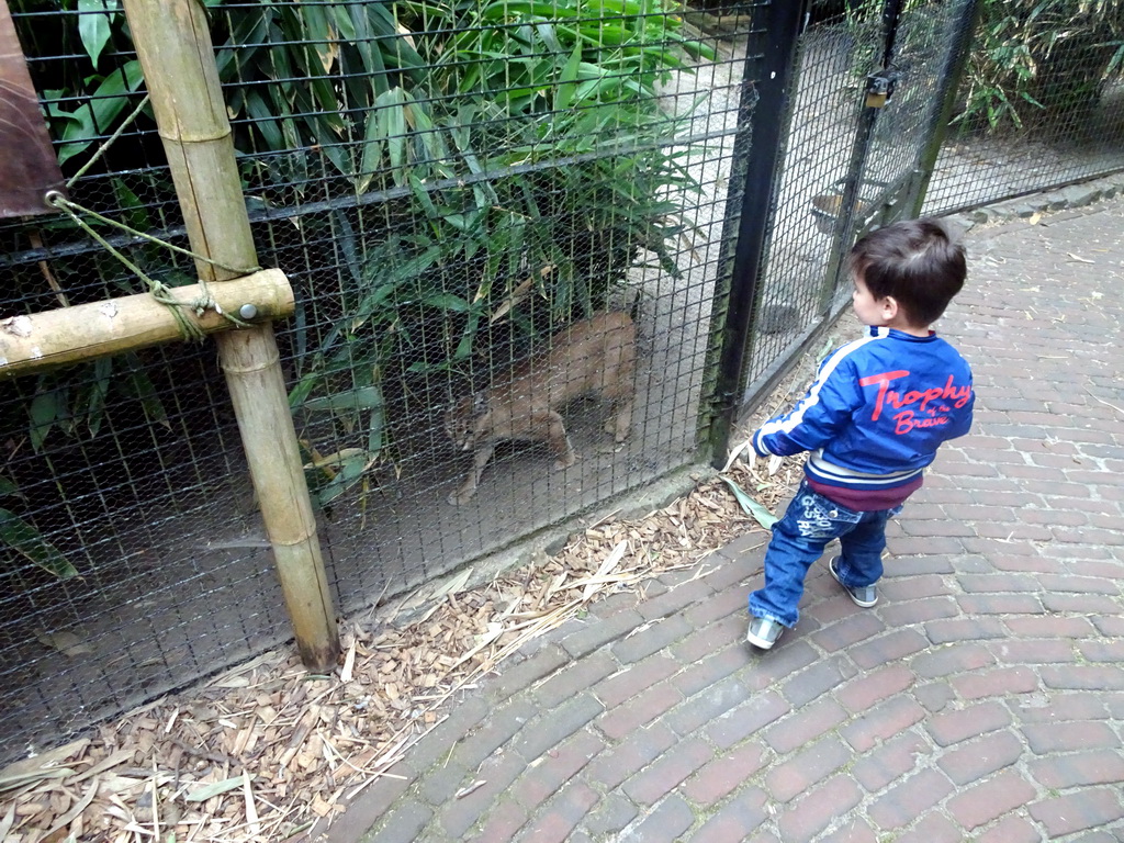 Max with a Caracal at the Dierenpark De Oliemeulen zoo