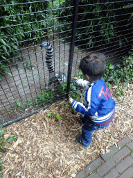 Max with a Ring-tailed Lemur at the Dierenpark De Oliemeulen zoo