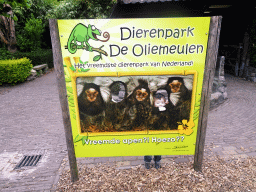 Max with a poster of Cotton-top Tamarins at the Dierenpark De Oliemeulen zoo