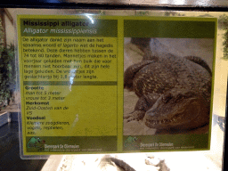 Explanation on the American Alligator at the Ground Floor of the main building of the Dierenpark De Oliemeulen zoo
