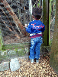 Max at the Dierenpark De Oliemeulen zoo