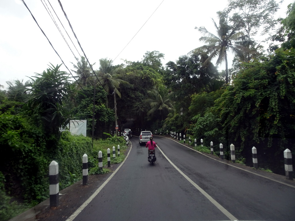 The Jalan Raya Pengosekan street, viewed from the taxi