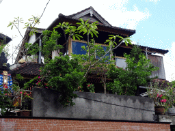 Building and plants at the Jalan Monkey Forest street