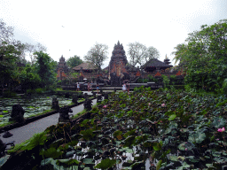Pond with lotus plants and the front of the Pura Taman Saraswati temple