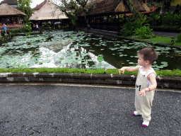 Max at the pond with lotus plants and Café Lotus