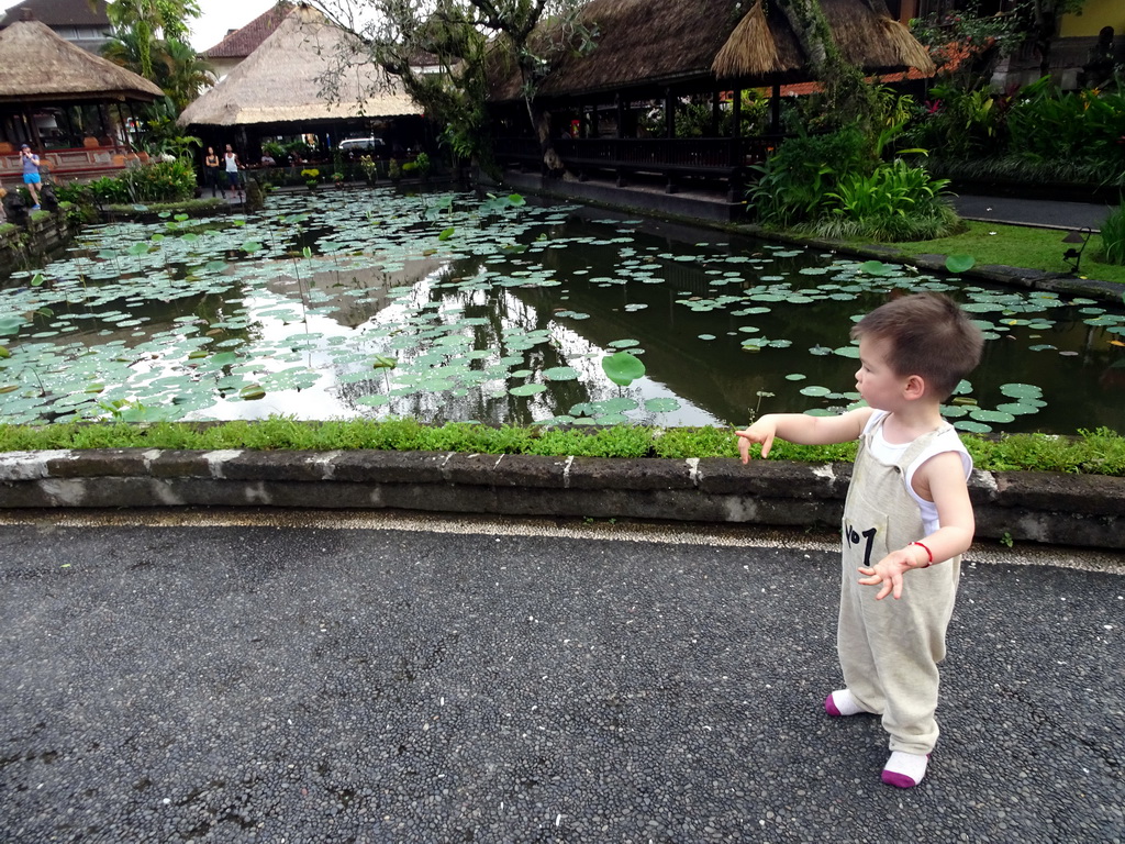 Max at the pond with lotus plants and Café Lotus