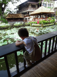 Max at the terrace of Café Lotus, with a view on the pond with lotus plants