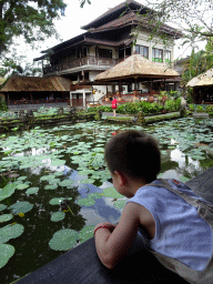 Max at the terrace of Café Lotus, with a view on the pond with lotus plants