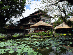 The pond with lotus plants and the Café Lotus