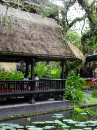 Miaomiao and Max at the terrace of Café Lotus, viewed from the path through the pond with lotus plants