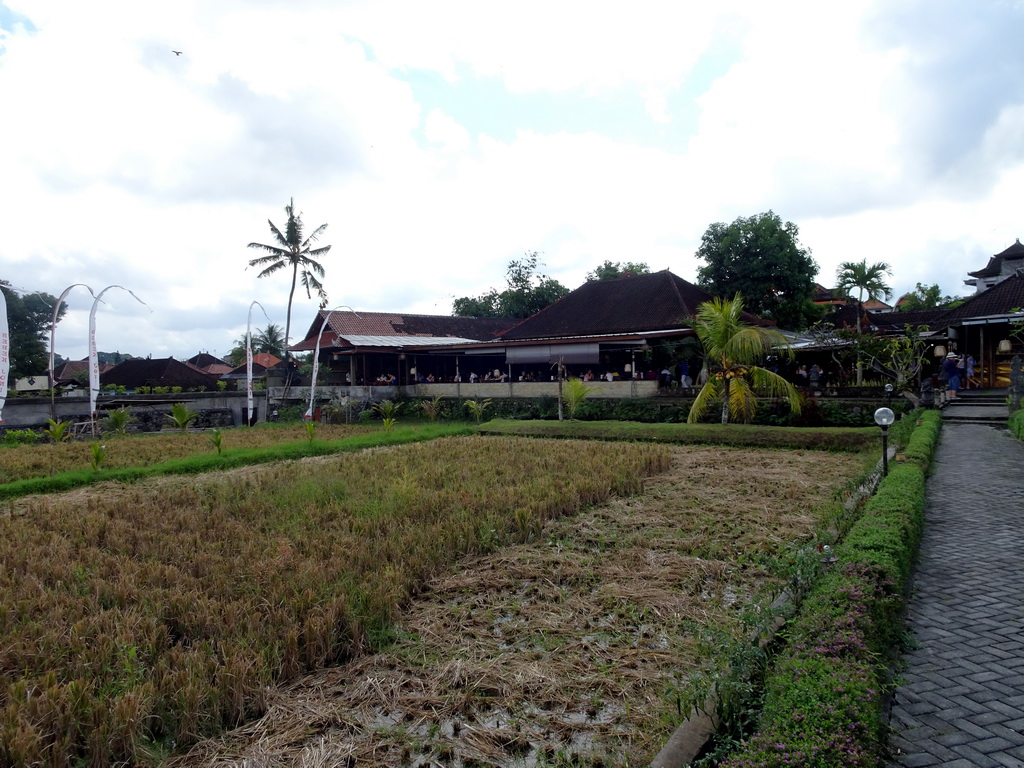Field at the back side of the Bebek Joni Restaurant
