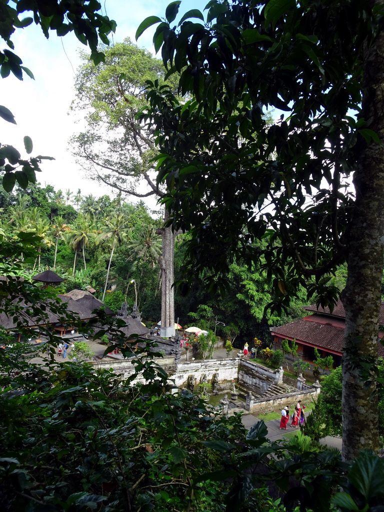Large tree, the bathing place, the Large Pavilion and the Pura Taman temple at the Goa Gajah temple, viewed from the path from the entrance