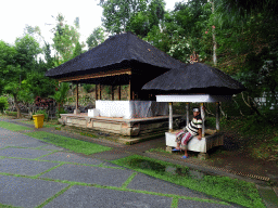 Pavilions at the Goa Gajah temple