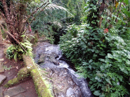Waterfall along the path to the lower part of the Goa Gajah temple