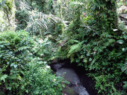 The Petanu River at the lower part of the Goa Gajah temple