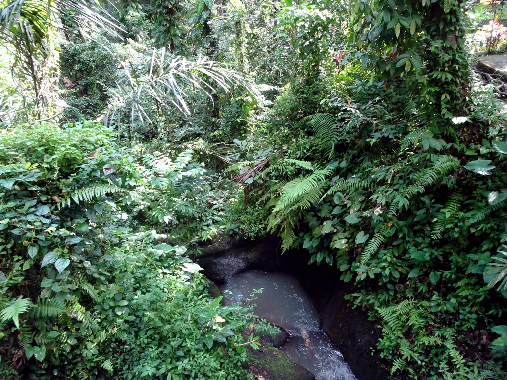 The Petanu River at the lower part of the Goa Gajah temple