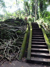 Staircase from the lower part of the Goa Gajah temple
