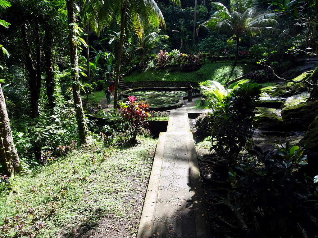 Pond with water lilies at the lower part of the Goa Gajah temple