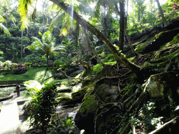 Pond with water lilies and trees at the lower part of the Goa Gajah temple