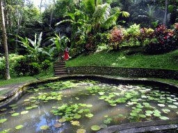 Pond with water lilies at the lower part of the Goa Gajah temple