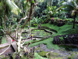 Pond with water lilies at the lower part of the Goa Gajah temple