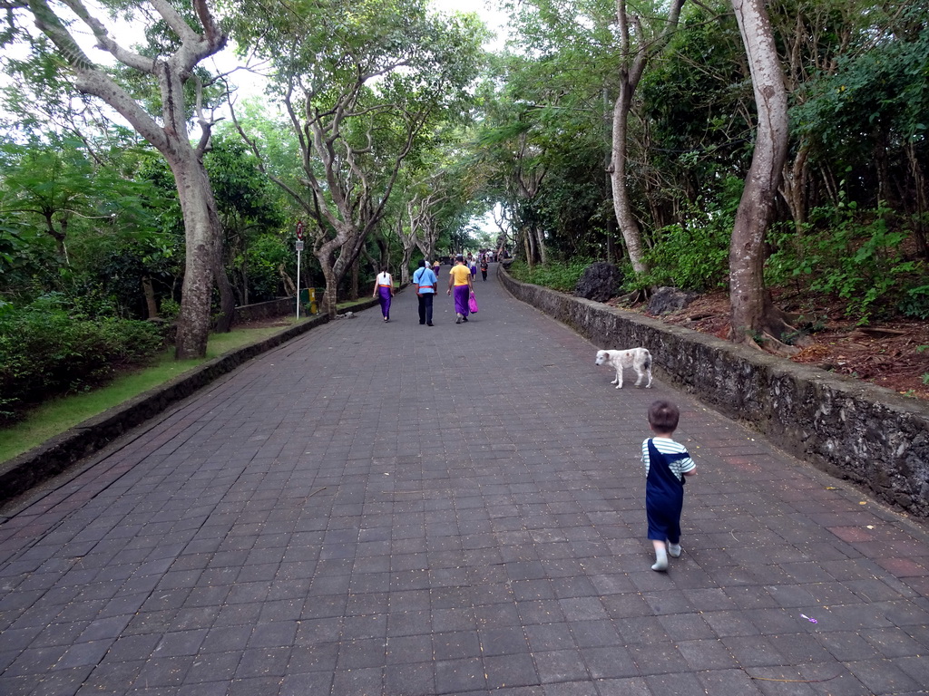 Max with a dog at the Pura Luhur Uluwatu temple