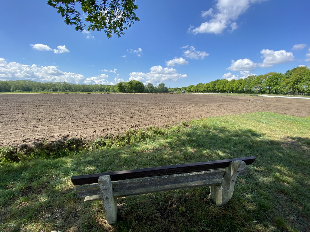 Field at the west side of the town, viewed from the Markdal street